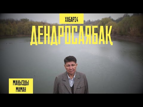 Видео: Орманшы-агроном Гүлнар Сапарымбетпен бір күн | Маңызды маман