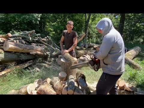Видео: І знову дрібні дрова🤷‍♂️
