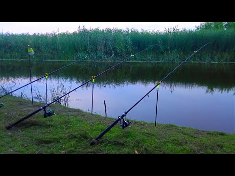 Видео: ЗАКИНУВ КОРМАЧКИ ПІД ОЧЕРЕТ І ПОЧАЛОСЯ. Рибалка на кормачки