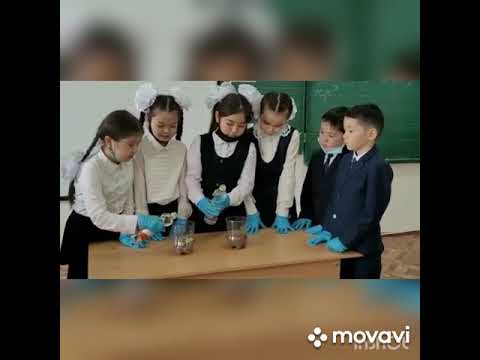 Видео: Төле би орта мектебі, 3б-сыныбы. Жаратылыстану пәні "Топырақтың қандай қасиеті бар?" Аңсағаева Ж.Қ.