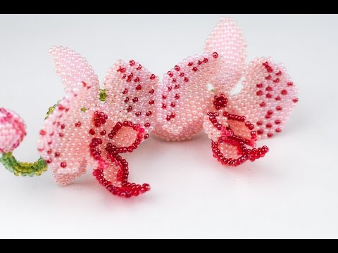 Видео: Орхидея  кирпичным плетением.(Часть 5/5)