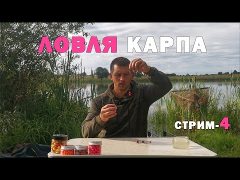 Видео: ЭФФЕКТИВНЫЕ поводки и монтажи для ловли карпа. Мои фавориты. Карпфишинг