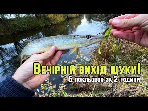 Видео: Вечірній вихід щуки! 🎣 5 покльовок за 2 години!