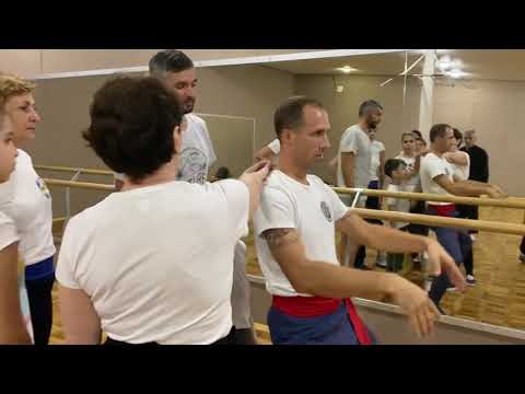 Видео: Роль позвоночника в движении энергии