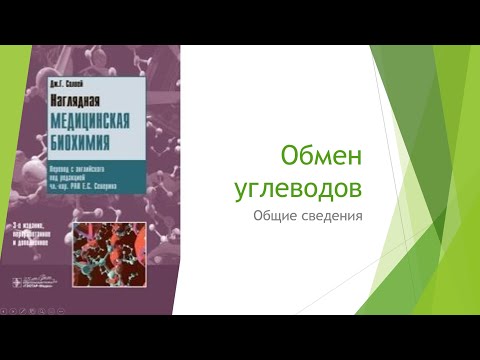 Видео: Диабет 1. Обмен углеводов или как сбросить последние несколько кг и почему не работает L-карнитин