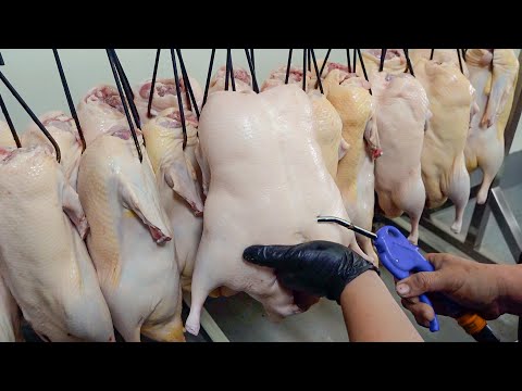 Видео: Сочный! Жареная утка по-пекински, утка с солью и перцем - Тайваньская кухня