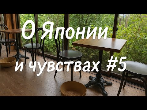 Видео: Камакура, Большой Будда, токийская телебашня, буддийские храмы и небоскребы 