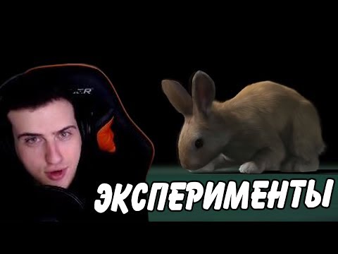 Видео: Hellyeahplay смотрит: ПСИХОЛОГИЧЕСКИЕ ЭКСПЕРИМЕНТЫ НА ЖИВОТНЫХ