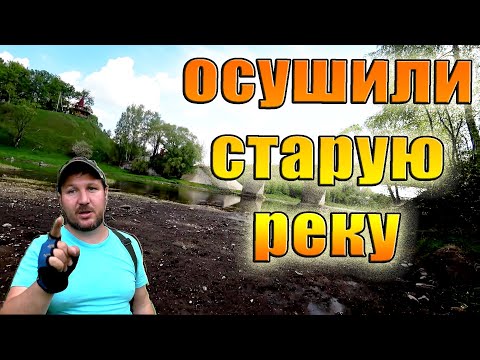 Видео: ОСУШИЛИ СТАРУЮ РЕКУ! ИЩЕМ МОНЕТЫ НА ДНЕ! КОП. Кладоискатель Руся.