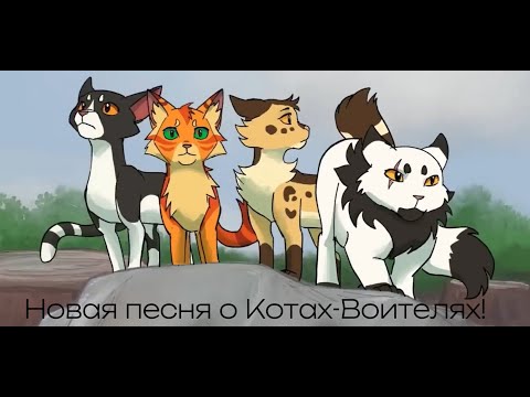 Видео: Новая песня о Котах-Воителях?! Что ждет нас дальше?