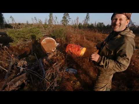 Видео: ИЖ 27 и Пуля ГРИЗЛИ. Меня медведь съест