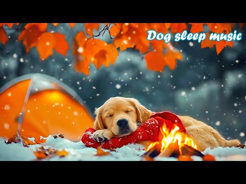Видео: Расслабляющая музыка для собак 🐶💤Звуки для психологической стабильности 💗3 часов музыки, подходящей