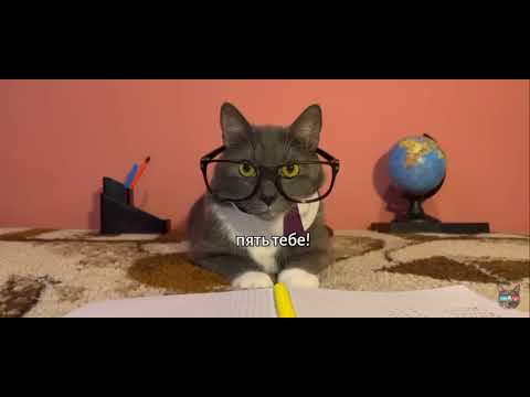 Видео: котинет 10 серия 1 сезон разрушение домов учеников