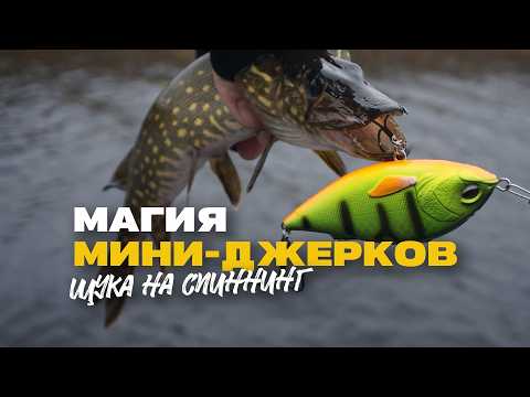 Видео: Щука на Спиннинг Осенью Недо Джерки Lucky John Arrow Jerk 100F и Вертушки Lucky John Shelt Blade 04