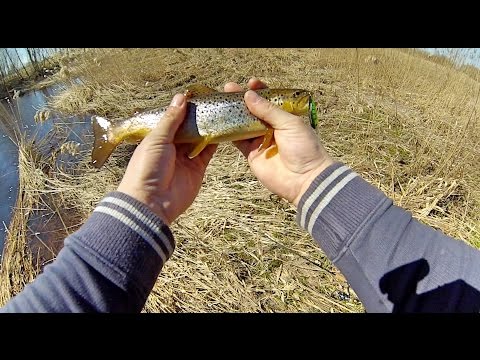 Видео: Ловля ручьевой Форели. Удалось взять рыбку. Охота на Форель на небольшой реке.