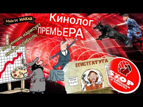 Видео: Динамичная фрод - рулетка. Сливы телефонных звонарей. Андрей Кинолог.