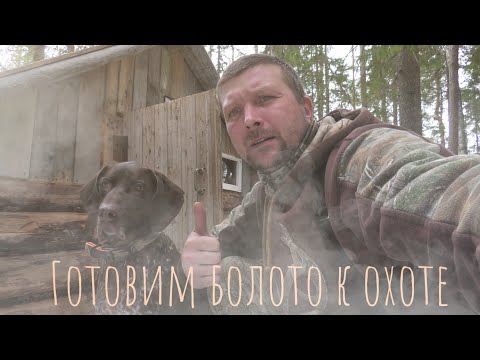 Видео: В Избе На Гусином Болоте. #тайга  #лес #карелия