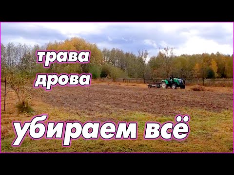 Видео: Осенняя уборка в преддверии зимы