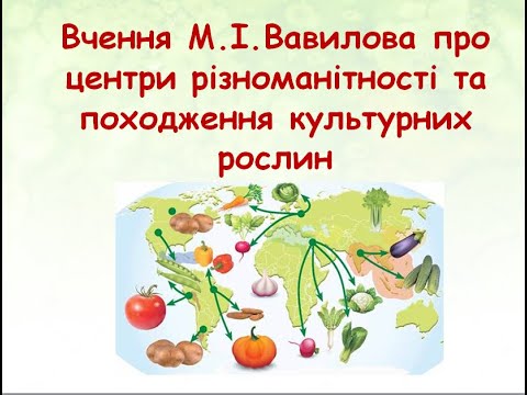 Видео: Вчення М.І.Вавилова про центри різноманітності та походження культурних рослин