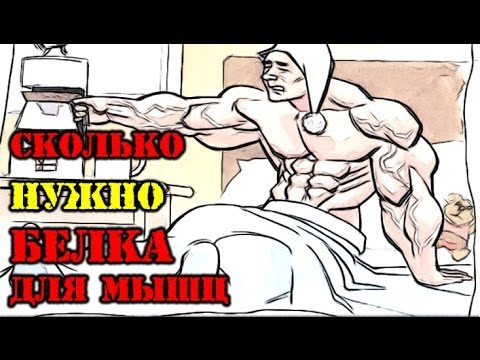 Видео: СКОЛЬКО НУЖНО БЕЛКА  для роста мышц?