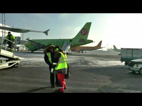 Видео: Наземное обслуживание (Ground Handling) ВС А-319 авиакомпании S7 Airlines в аэропорту Домодедово