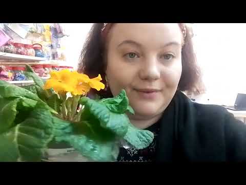 Видео: Влог 761 Начало 2024 г Я снова с Вами.