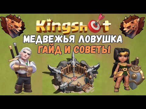 Видео: Медвежья ловушка. Гайд для новичков. KINGSHOT👑