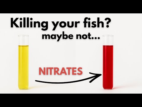 Видео: ПРАВДА о нитратах в вашем аквариуме!