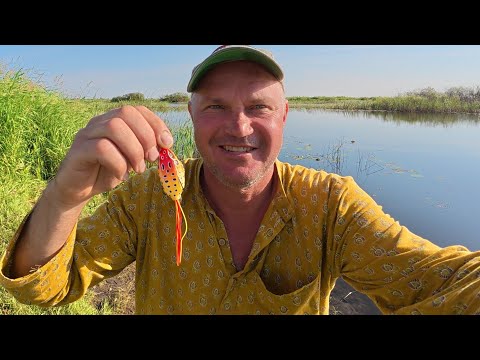 Видео: Щуки в ярости! Охота на хищника в самых глухих местах! 😱🐊
