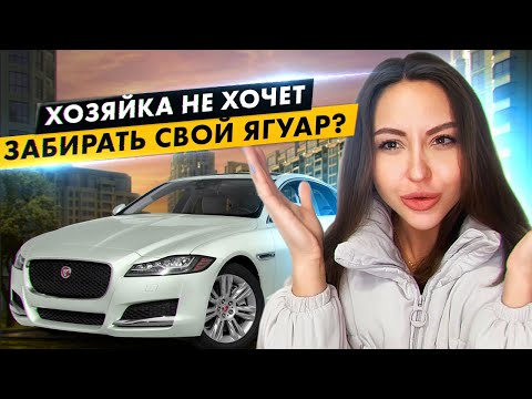 Видео: ГДЕ ПРЯЧУТ ЭЛИТНЫЕ АВТОМОБИЛИ?! Нашли Ягуар! Нарвались на засаду!