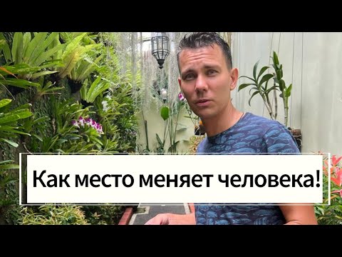 Видео: МЕСТО МЕНЯЕТ ЧЕЛОВЕКА! Жизнь, Работа и Инвестиции на Бали с 3 Детьми! Мои первые вебинары и победы!