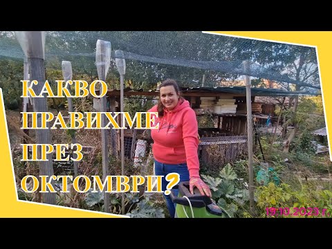 Видео: Живот на село: влог с Кали, Ива и приятели + културни събития в София