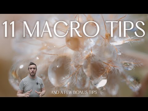 Видео: «11 советов по макросъёмке, которые мгновенно улучшат ваши снимки»