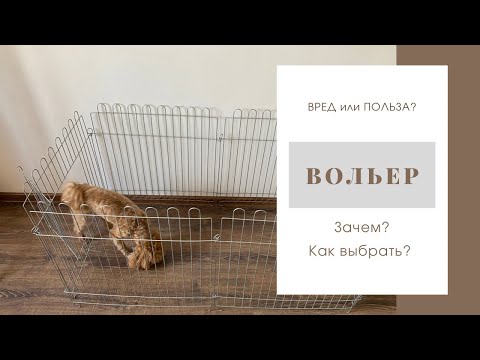 Видео: ВОЛЬЕР. ЗАЧЕМ ОН СОБАКЕ? ВАША ЖИЗНЬ НЕ БУДЕТ ПРЕЖНЕЙ! #вольер #воспитаниесобаки #мальтипу