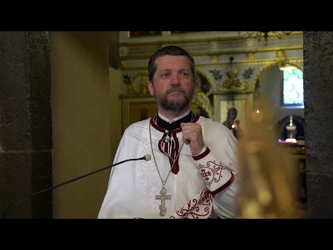 Видео: 2022 06 19 Недеља Свих Светих - О. Гојко Перовић