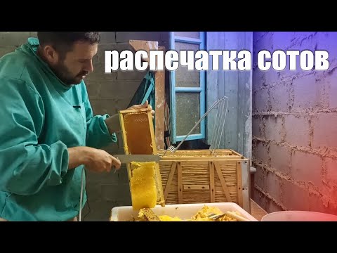 Видео: Откачка меда медогонкой. Как распечатывать рамки с медом