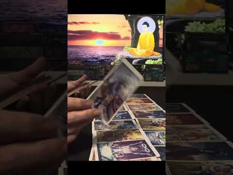 Видео: СРОЧНАЯ ИНФОРМАЦИЯ ДЛЯ ВАС ✨✨✨✨✨✨✨✨✨✨✨✨