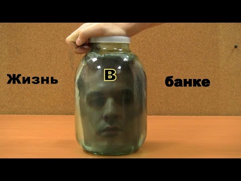 Видео: Жизнь в банке