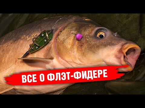 Видео: ФЛЭТ-ФИДЕР! Все о ФЛЕТ-ФИДЕРНОЙ ловле!