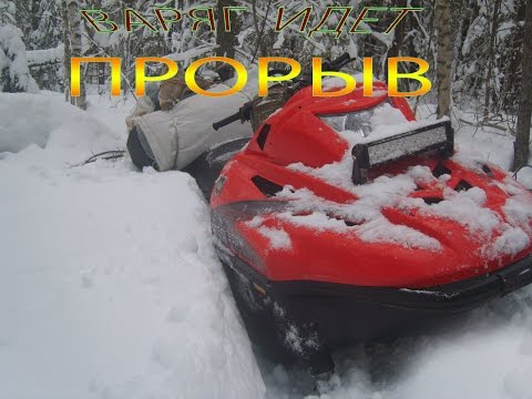 Видео: Снегоходы.Тайга Варяг 550V  по лесным заросшим дорогам.Часть 1