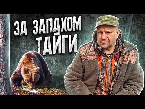 Видео: Таёжный Гемор. Медведь прикопал Лося. Рыбалка.