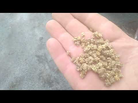 Видео: Обзор самодельной двухрядной сажалки-сеялки свеклы для тяжелого мотоблока