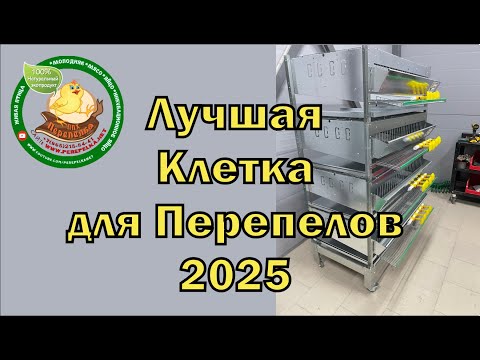 Видео: Клетка для перепелов 2025