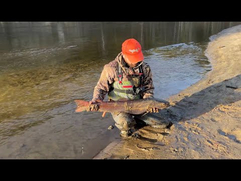 Видео: По следам ВЕЛИКОГО хищника! Покоряем таёжные реки в поисках ТРОФЕЕВ ! Часть-2