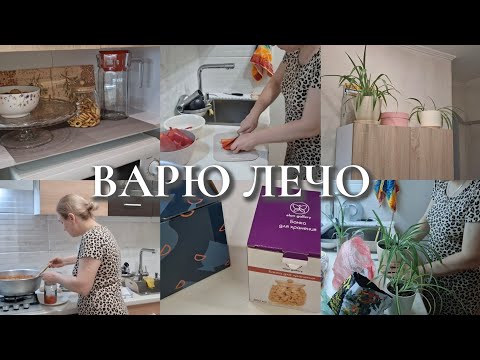 Видео: ЛЕЧО НА ЗИМУ|Покупки с WB|Пересадила цветок