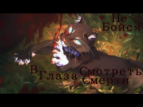 Видео: Бич | Клип | Не бойся смотреть смерти в глаза | Коты - Воители