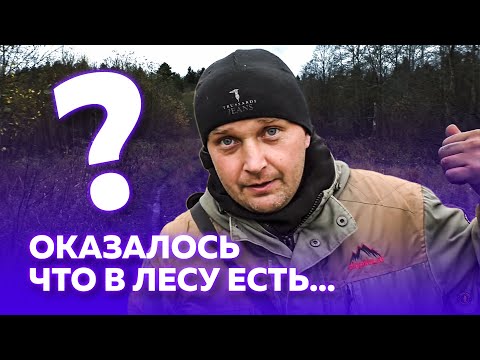 Видео: Богатое лесное поселение царских времён 💎