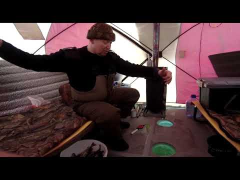 Видео: Лещ Сорога Окунь| Жор на точке Красноярского водохранилища| Горячее копчение