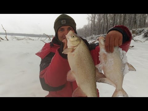 Видео: ОГРОМНЫЕ ЯЗИ!!!! ХОРОШИЕ ЛЕЩИ!!!! РЫБАЛКА НА КОМБАЙН)))))