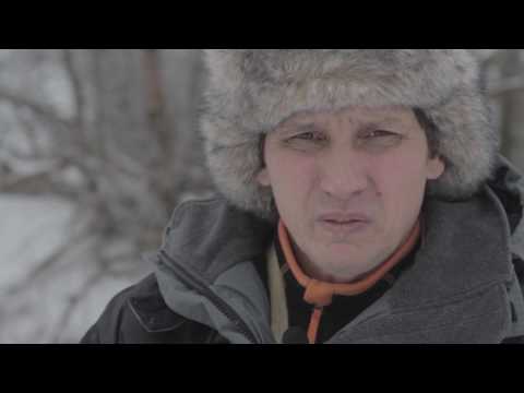 Видео: Малые реки Черноземья. Сезон 2. Зимний голавль
